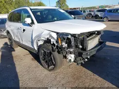 5XYP6DGC0SG589262 2025 KIA TELLURIDE