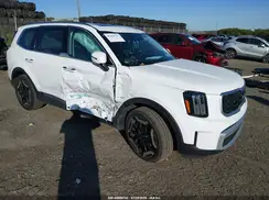 5XYP6DGC0SG589343 2025 KIA TELLURIDE