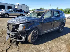 5XYP6DGC0SG594218 2025 KIA TELLURIDE