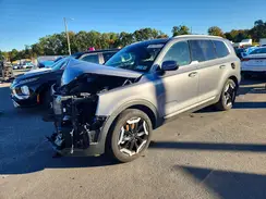 5XYP6DGC0SG603855 2025 KIA TELLURIDE