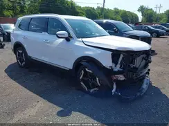 5XYP6DGC0SG640064 2025 KIA TELLURIDE