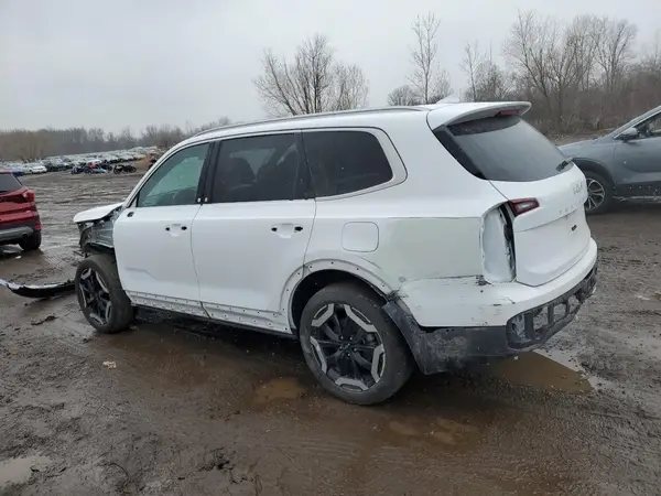 5XYP6DGC1PG339309 2023 KIA TELLURIDE - Image 2
