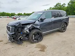 5XYP6DGC1PG346163 2023 KIA TELLURIDE