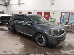 5XYP6DGC1RG426727 2024 KIA TELLURIDE