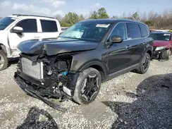 5XYP6DGC1RG438537 2024 KIA TELLURIDE