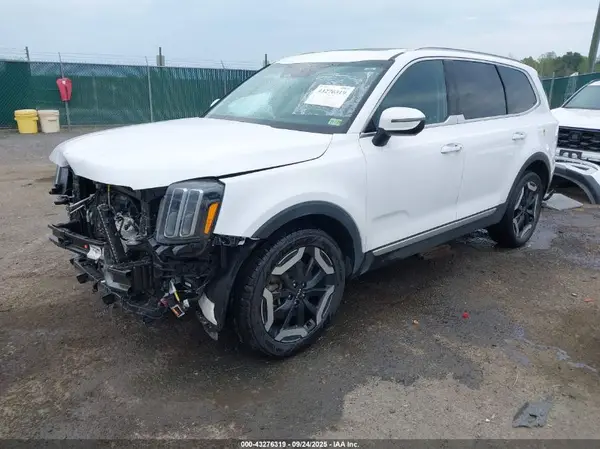 5XYP6DGC1RG465754 2024 KIA TELLURIDE - Image 2