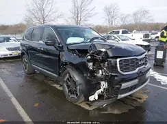 5XYP6DGC1RG488502 2024 KIA TELLURIDE