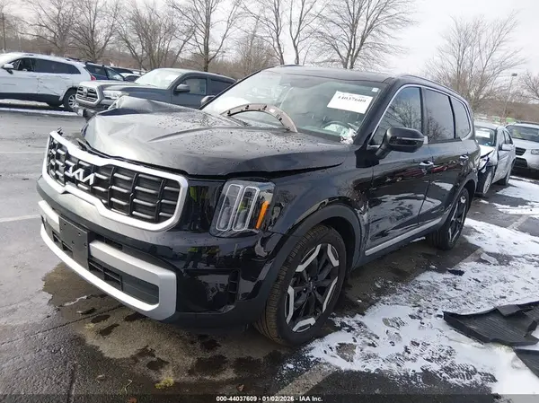5XYP6DGC1RG488502 2024 KIA TELLURIDE - Image 2