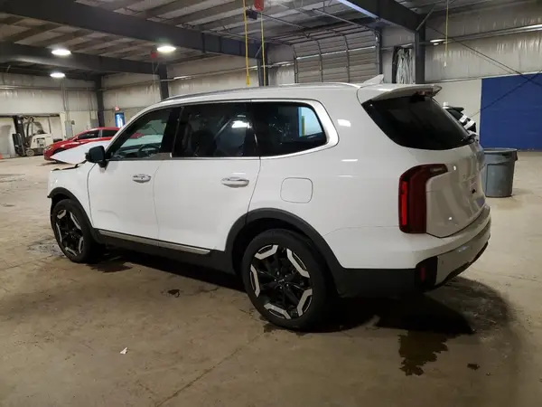 5XYP6DGC1RG492131 2024 KIA TELLURIDE - Image 2