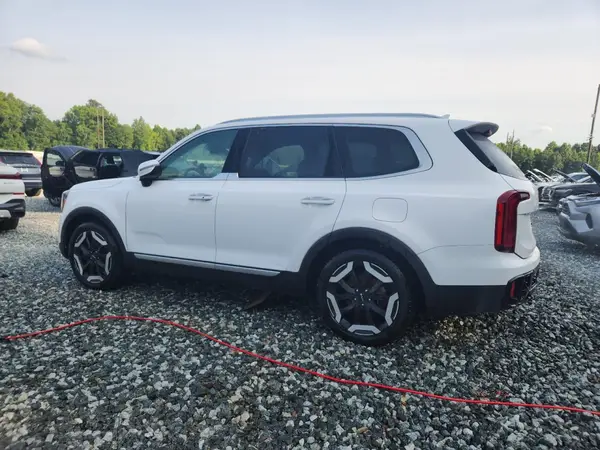 5XYP6DGC1RG495594 2024 KIA TELLURIDE - Image 2