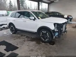 5XYP6DGC1RG531364 2024 KIA TELLURIDE