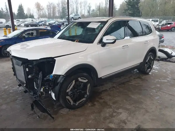 5XYP6DGC1RG531364 2024 KIA TELLURIDE - Image 2
