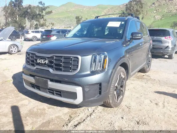 5XYP6DGC1RG534989 2024 KIA TELLURIDE - Image 2