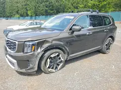 5XYP6DGC1SG586001 2025 KIA TELLURIDE