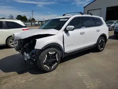 5XYP6DGC1SG641210 2025 KIA TELLURIDE