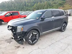 5XYP6DGC1SG648013 2025 KIA TELLURIDE
