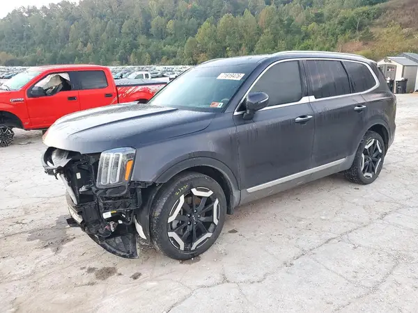 5XYP6DGC1SG648013 2025 KIA TELLURIDE - Image 1