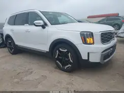 5XYP6DGC1SG689497 2025 KIA TELLURIDE