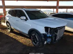 5XYP6DGC2RG414103 2024 KIA TELLURIDE