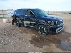 5XYP6DGC2RG495667 2024 KIA TELLURIDE