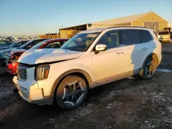 5XYP6DGC2RG498262 2024 KIA TELLURIDE