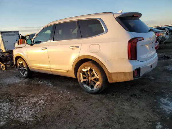 5XYP6DGC2RG498262 2024 KIA TELLURIDE - Image 2