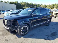 5XYP6DGC2RG533026 2024 KIA TELLURIDE