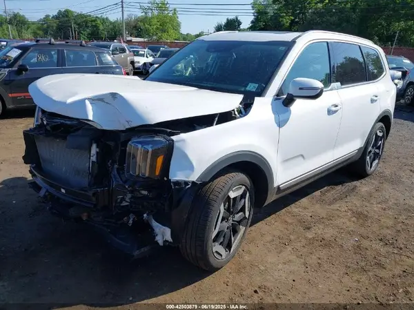 5XYP6DGC2RG537531 2024 KIA TELLURIDE - Image 2