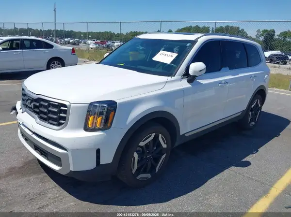 5XYP6DGC2RG546875 2024 KIA TELLURIDE - Image 2