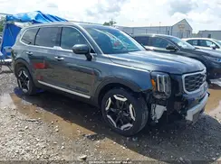 5XYP6DGC2RG556886 2024 KIA TELLURIDE