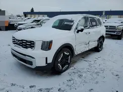 5XYP6DGC2RG564261 2024 KIA TELLURIDE