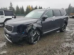5XYP6DGC2SG685703 2025 KIA TELLURIDE
