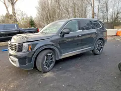 5XYP6DGC2SG695549 2025 KIA TELLURIDE