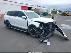 5XYP6DGC3PG361893 2023 KIA TELLURIDE