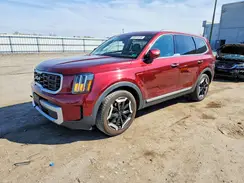 5XYP6DGC3RG419598 2024 KIA TELLURIDE