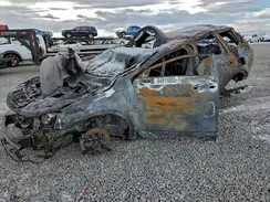 5XYP6DGC3RG422971 2024 KIA TELLURIDE