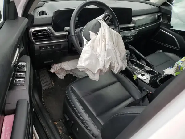 5XYP6DGC3RG427040 2024 KIA TELLURIDE - Image 8