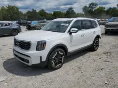 5XYP6DGC3RG464900 2024 KIA TELLURIDE