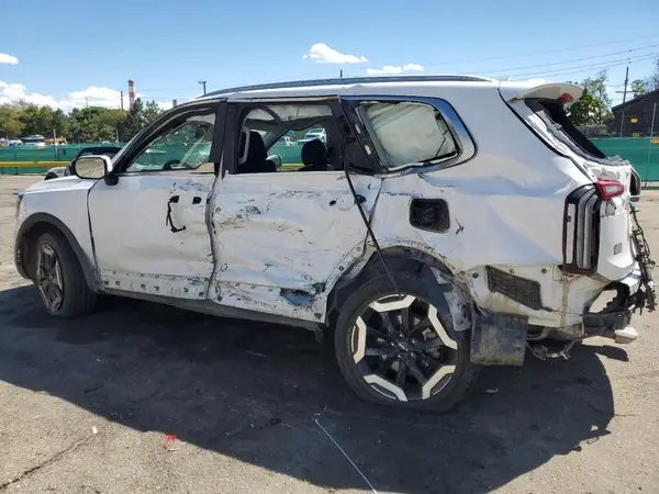 5XYP6DGC3RG486539 2024 KIA TELLURIDE - Image 2