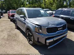 5XYP6DGC3RG490526 2024 KIA TELLURIDE