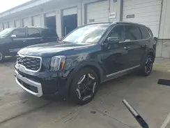 5XYP6DGC3RG516672 2024 KIA TELLURIDE