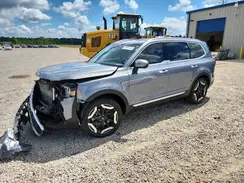 5XYP6DGC3RG521452 2024 KIA TELLURIDE