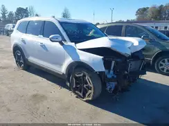 5XYP6DGC3RG547940 2024 KIA TELLURIDE