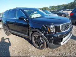 5XYP6DGC3SG597081 2025 KIA TELLURIDE