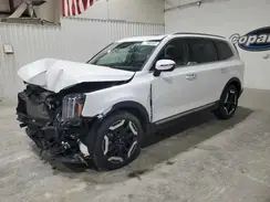 5XYP6DGC3SG618804 2025 KIA TELLURIDE