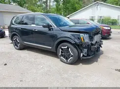 5XYP6DGC3SG639989 2025 KIA TELLURIDE