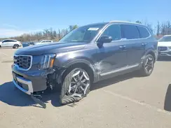 5XYP6DGC3SG641077 2025 KIA TELLURIDE