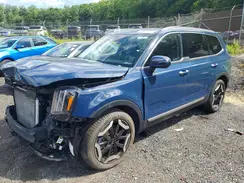 5XYP6DGC3SG680915 2025 KIA TELLURIDE