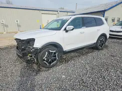 5XYP6DGC4PG393946 2023 KIA TELLURIDE