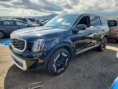 5XYP6DGC4RG450861 2024 KIA TELLURIDE